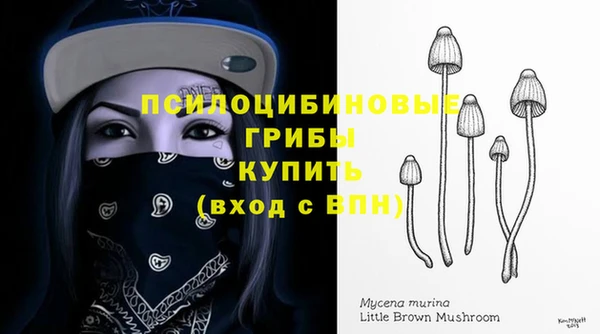 трава Балахна