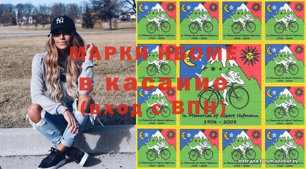 шишки Баксан