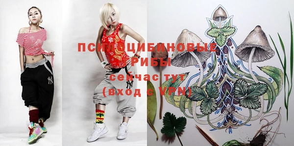 шишки Баксан