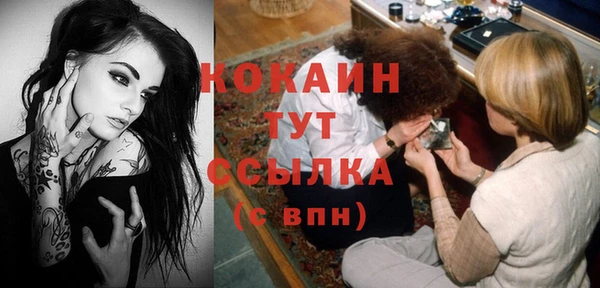 шишки Баксан