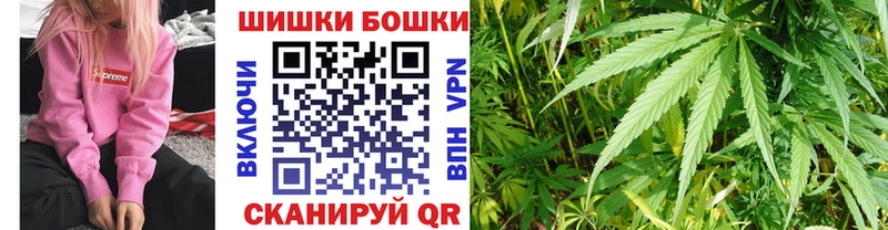 Бошки марихуана THC 21%  Невельск 